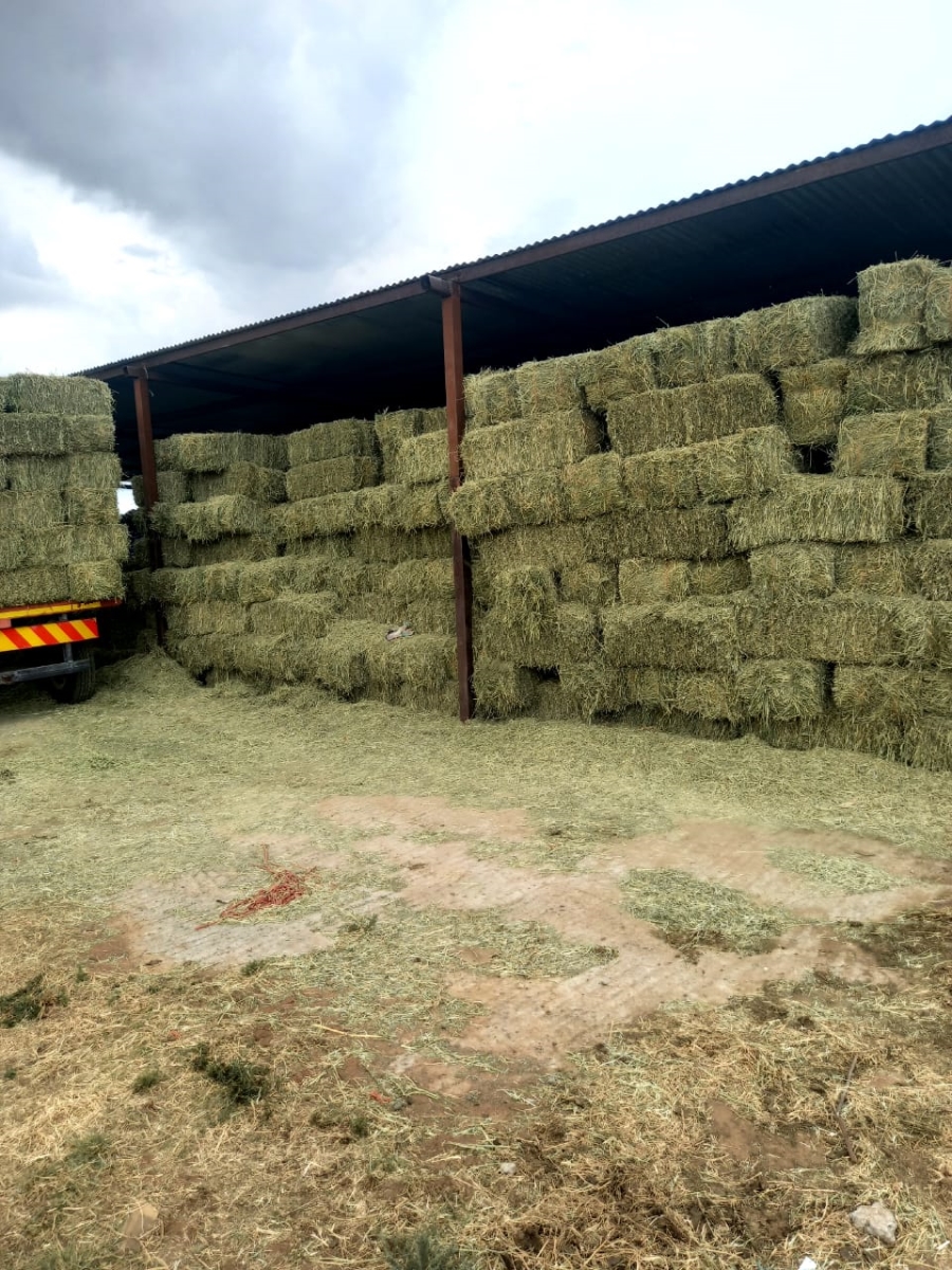  Bedroom Property for Sale in Jacobsdal Rural Free State
